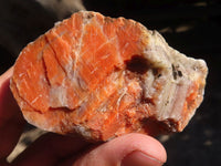 Natural New Sunset Orange Calcite Specimens  x 6 From Spitzkop, Namibia - Toprock Gemstones and Minerals 