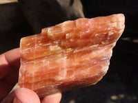 Natural New Sunset Orange Calcite Specimens  x 6 From Spitzkop, Namibia - Toprock Gemstones and Minerals 