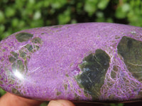 Polished Stichtite & Serpentine Free Forms With Silky Purple Threads  x 6 From Barberton, South Africa - Toprock Gemstones and Minerals 