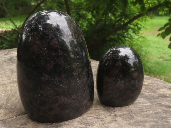 Polished Sparkling Blue Water Sapphire / Cordierite Standing Free Forms  x 3 From Madagascar - TopRock