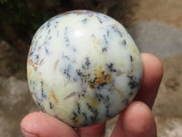 Polished Dendritic Opal Palm Stones  x 12 From Madagascar - TopRock