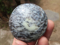 Polished Dendritic Opal Palm Stones  x 12 From Madagascar - TopRock