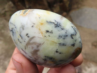 Polished Dendritic Opal Palm Stones  x 12 From Madagascar - TopRock