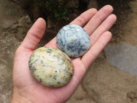 Polished Dendritic Opal Palm Stones  x 12 From Madagascar - TopRock