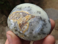 Polished Dendritic Opal Palm Stones  x 12 From Madagascar - TopRock