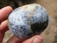 Polished Dendritic Opal Palm Stones  x 12 From Madagascar - TopRock