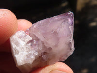 Natural Mini Mixed Spirit Amethyst Quartz Crystals  x 70 From Boekenhouthoek, South Africa - Toprock Gemstones and Minerals 