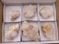 Natural White Spirit Cactus Quartz Clusters  x 6 From Boekenhouthoek, South Africa - Toprock Gemstones and Minerals 