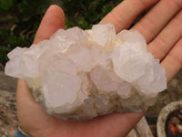 Natural White Spirit Cactus Quartz Clusters  x 6 From Boekenhouthoek, South Africa - Toprock Gemstones and Minerals 