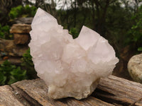 Natural White Spirit Cactus Quartz Clusters  x 6 From Boekenhouthoek, South Africa - Toprock Gemstones and Minerals 