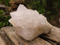 Natural White Spirit Cactus Quartz Clusters  x 6 From Boekenhouthoek, South Africa - Toprock Gemstones and Minerals 