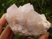 Natural White Spirit Cactus Quartz Clusters  x 6 From Boekenhouthoek, South Africa - Toprock Gemstones and Minerals 