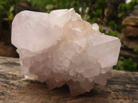 Natural White Spirit Cactus Quartz Clusters  x 6 From Boekenhouthoek, South Africa - Toprock Gemstones and Minerals 