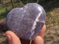 Polished Purple Lepidolite Mica Hearts  x 6 From Madagascar - TopRock