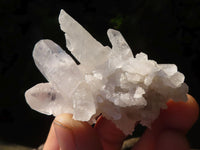 Natural Single Clear Quartz Crystals  x 39 From Mpika, Zambia - Toprock Gemstones and Minerals 