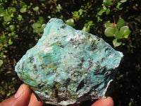 Natural Rough Chrysocolla Specimens  x 12 From Southern Africa - Toprock Gemstones and Minerals 