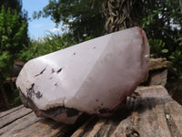 Natural Large Hematoid Quartz Crystals  x 2 From Madagascar - TopRock