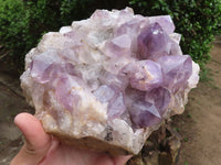 Natural Jacaranda Amethyst Cluster  x 1 From Mumbwe, Zambia - TopRock