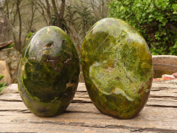 Polished  Green Opal Standing Free Forms  x 2 From Madagascar