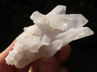 Natural Single Clear Quartz Crystals  x 39 From Mpika, Zambia - Toprock Gemstones and Minerals 