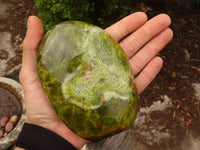 Polished  Green Opal Standing Free Forms  x 2 From Madagascar