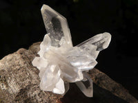 Natural Single Clear Quartz Crystals  x 39 From Mpika, Zambia - Toprock Gemstones and Minerals 