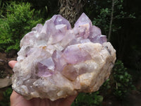 Natural Jacaranda Amethyst Cluster  x 1 From Mumbwe, Zambia - TopRock