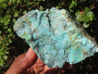 Natural Rough Chrysocolla Specimens  x 12 From Southern Africa - Toprock Gemstones and Minerals 