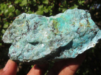 Natural Rough Chrysocolla Specimens  x 12 From Southern Africa - Toprock Gemstones and Minerals 