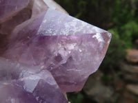 Natural Jacaranda Amethyst Cluster  x 1 From Mumbwe, Zambia - TopRock