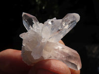 Natural Single Clear Quartz Crystals  x 39 From Mpika, Zambia - Toprock Gemstones and Minerals 