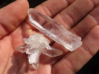 Natural Single Clear Quartz Crystals  x 39 From Mpika, Zambia - Toprock Gemstones and Minerals 