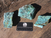 Natural Rough Chrysocolla Specimens  x 12 From Southern Africa - Toprock Gemstones and Minerals 