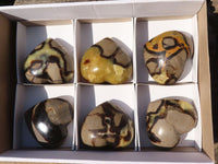 Polished Gorgeous Septerye Gemstone Hearts x 6 From Madagascar