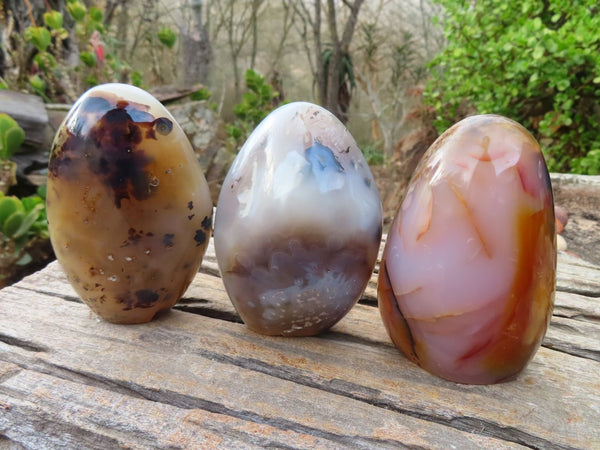 Polished Dendritic Agate Standing Free Forms  x 3 From Madagascar