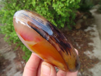 Polished Dendritic Agate Standing Free Forms  x 3 From Madagascar