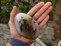 Polished Dendritic Agate Standing Free Forms  x 3 From Madagascar