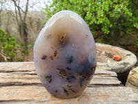 Polished Dendritic Agate Standing Free Forms  x 3 From Madagascar