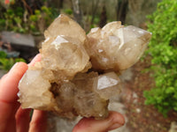 Natural Cascading Smokey Quartz Clusters x 3 From Luena, Congo