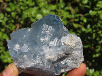 Natural Blue Celestite Crystal Specimens  x 5 From Sakoany, Madagascar - Toprock Gemstones and Minerals 