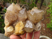 Natural Cascading Smokey Quartz Clusters x 3 From Luena, Congo