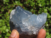 Natural Blue Celestite Crystal Specimens  x 5 From Sakoany, Madagascar - Toprock Gemstones and Minerals 