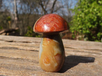 Polished Mini Polychrome / Picasso Jasper Mushrooms  x 35 From Madagascar