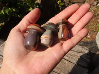 Polished Mini Polychrome / Picasso Jasper Mushrooms  x 35 From Madagascar