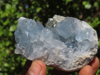 Natural Blue Celestite Crystal Specimens  x 5 From Sakoany, Madagascar - Toprock Gemstones and Minerals 