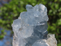 Natural Blue Celestite Crystal Specimens  x 5 From Sakoany, Madagascar - Toprock Gemstones and Minerals 