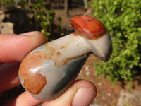 Polished Mini Polychrome / Picasso Jasper Mushrooms  x 35 From Madagascar