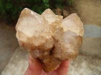 Natural Cascading Smokey Quartz Clusters x 3 From Luena, Congo