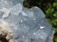 Natural Blue Celestite Crystal Specimens  x 5 From Sakoany, Madagascar - Toprock Gemstones and Minerals 