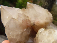 Natural Cascading Smokey Quartz Clusters x 3 From Luena, Congo